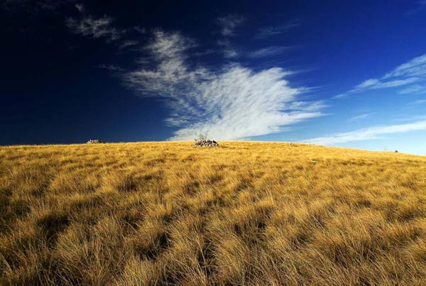 ZeljkoJelenski Cicarija (6)